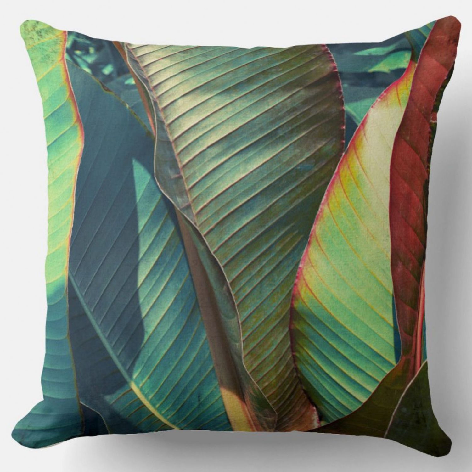 CUSCINO ZOOM EFFETTO VELLUTO IMBOTTITO 55X55