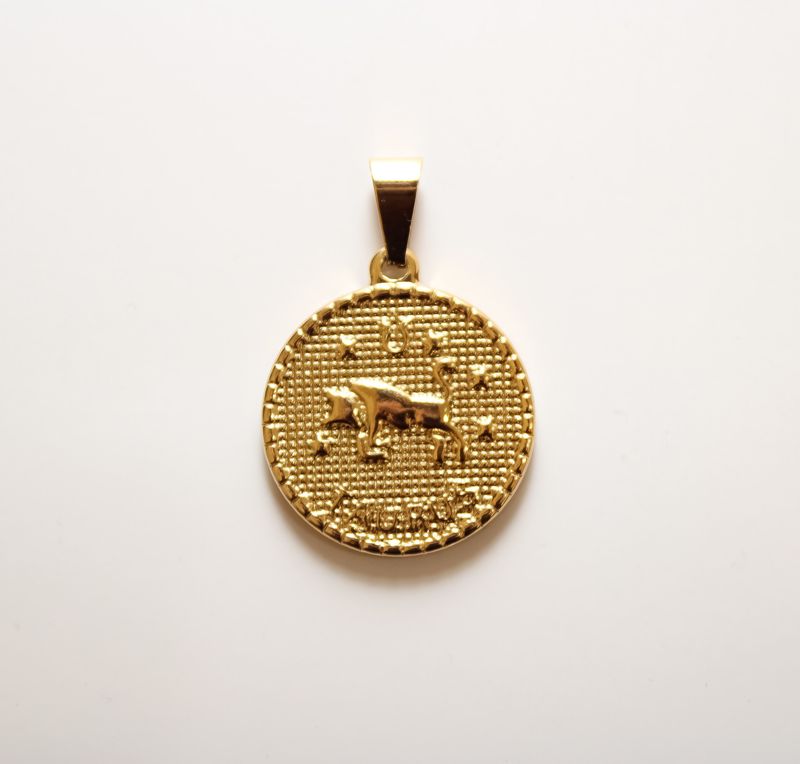 Zodiac Charms