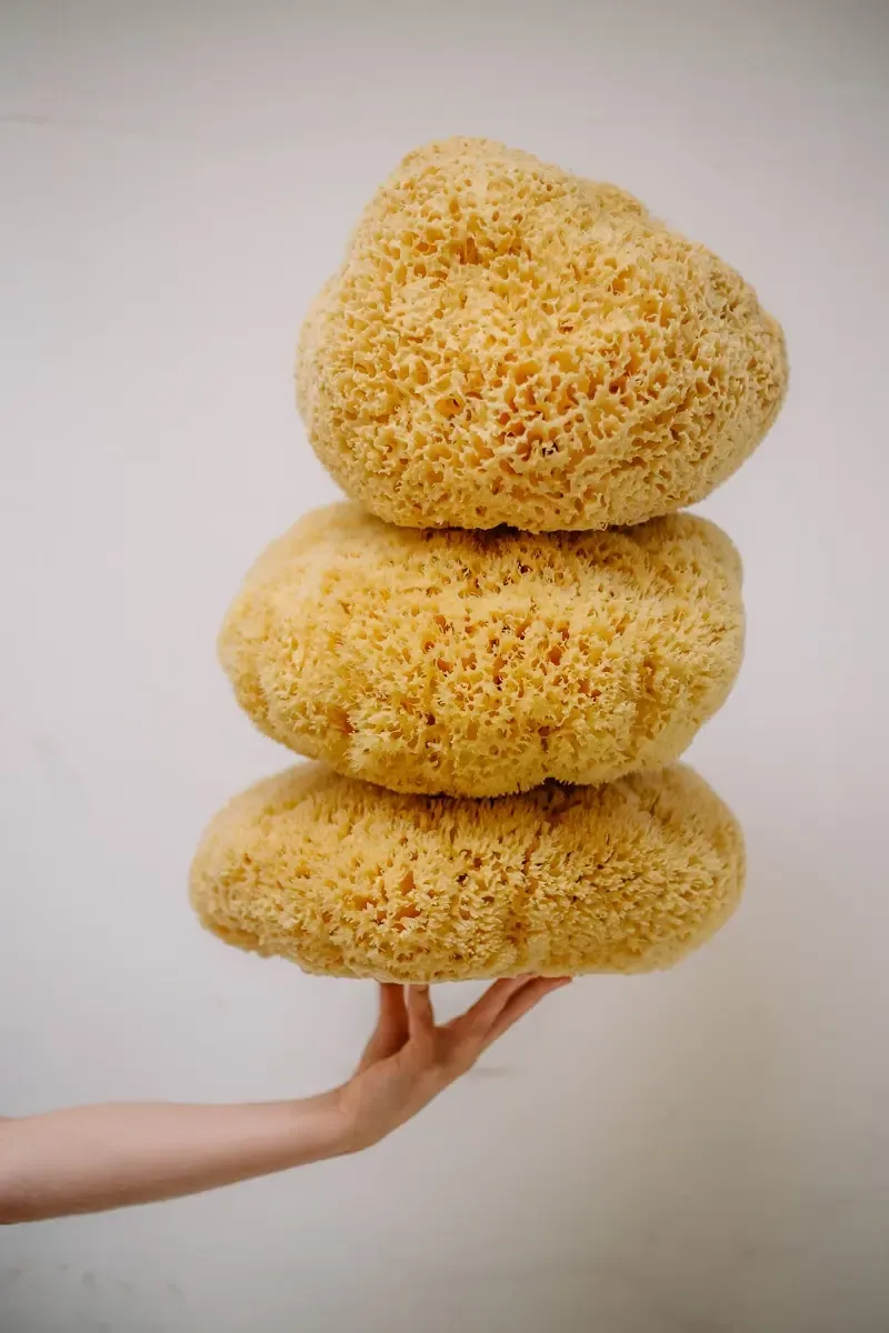 XL Sustainable Natural Sea Sponge