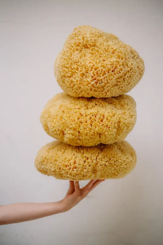 XL Sustainable Natural Sea Sponge