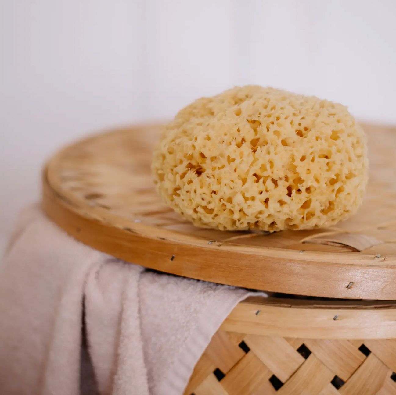 Sustainable Natural Sea Sponge