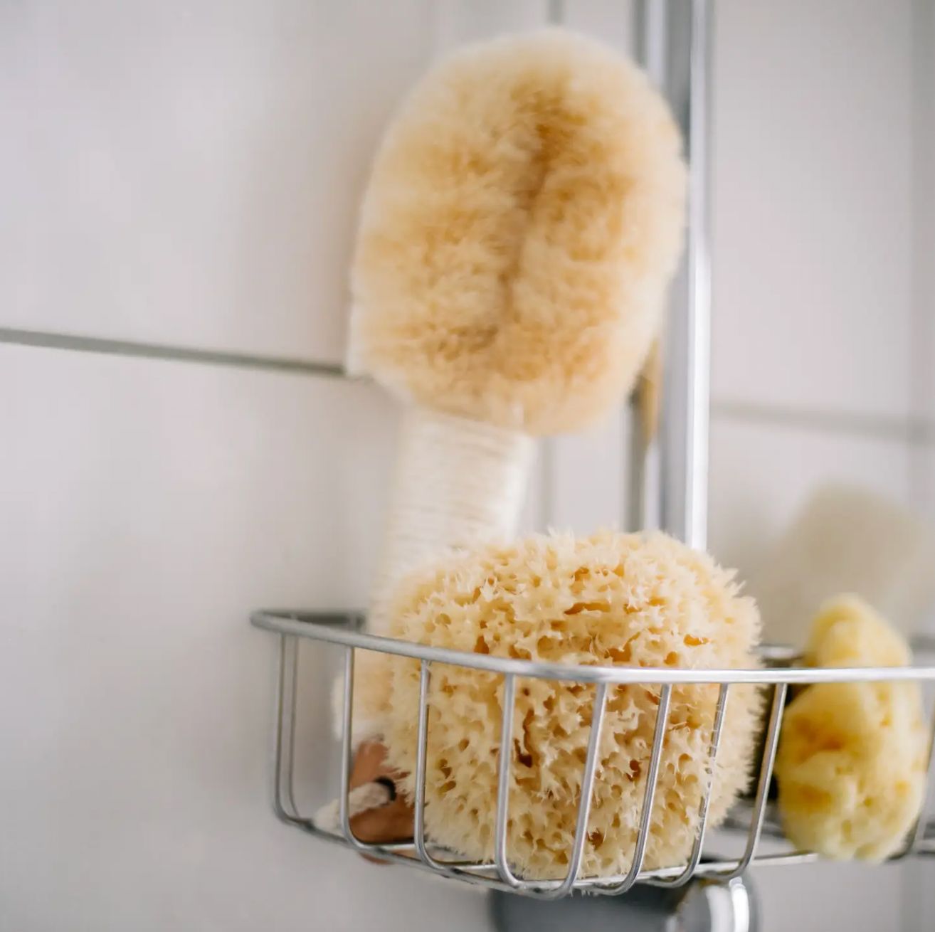 Sustainable Natural Sea Sponge