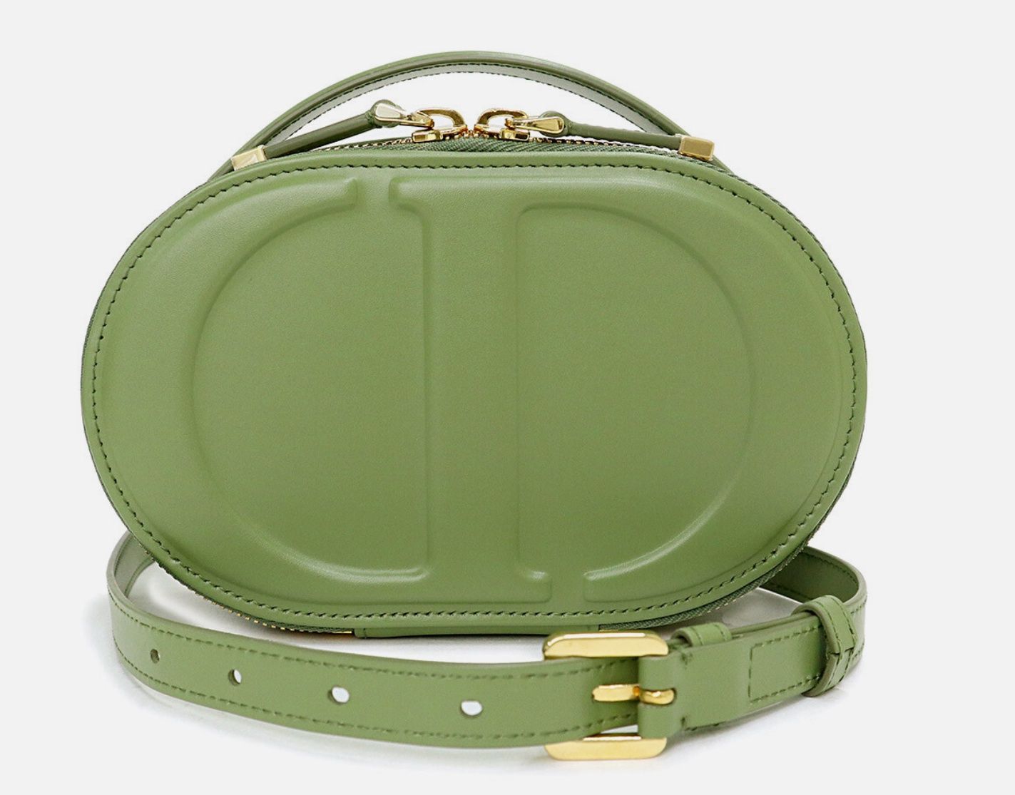 Dior Signature Oval Camera Bag