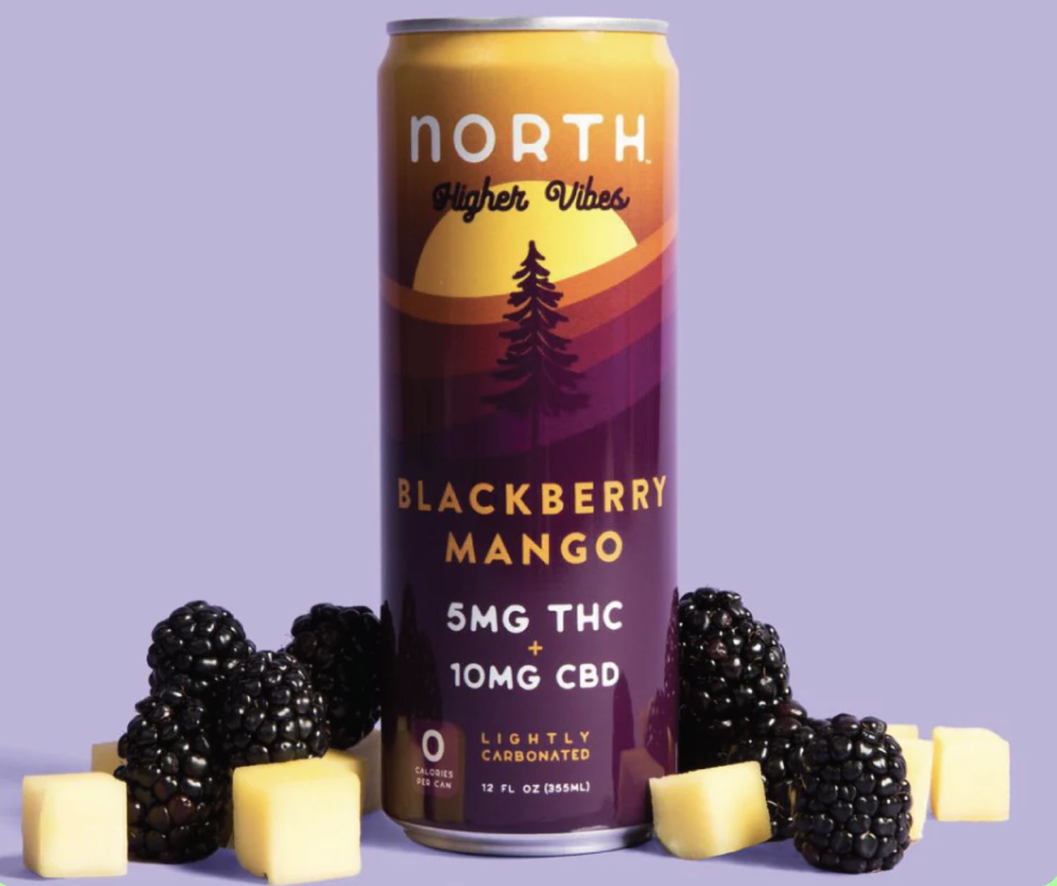 NORTH HIGHER VIBES BLACKBERRY MANGO 5MG-THC 10MG-CBD