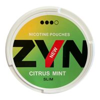ZYN - Citrus Mint - 11mg