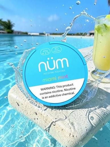 num - miami mint - 6mg