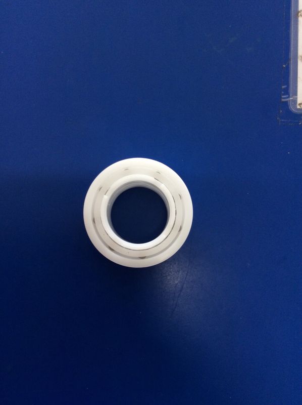 Maytronics Guide Wheel