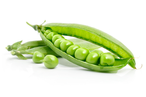 Pea