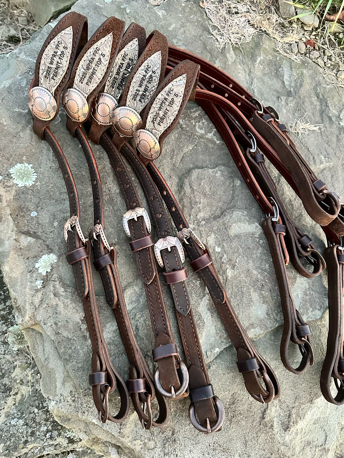Award Headstall One Ear Quick Change