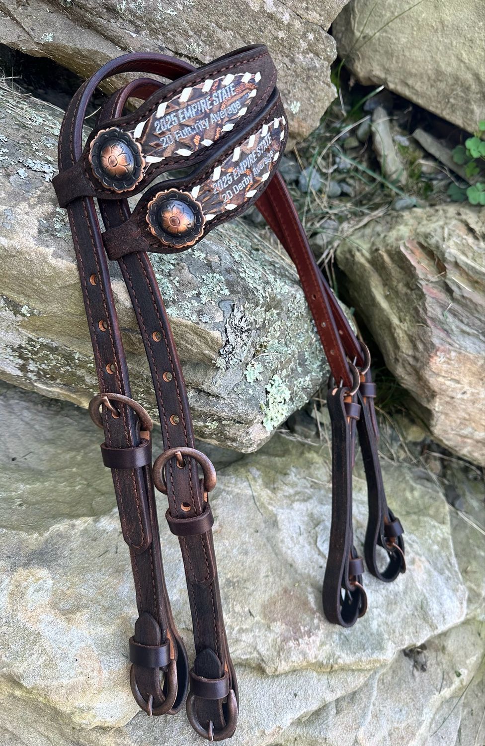 Award One Ear Quick Change Headstall With Whip Lacing