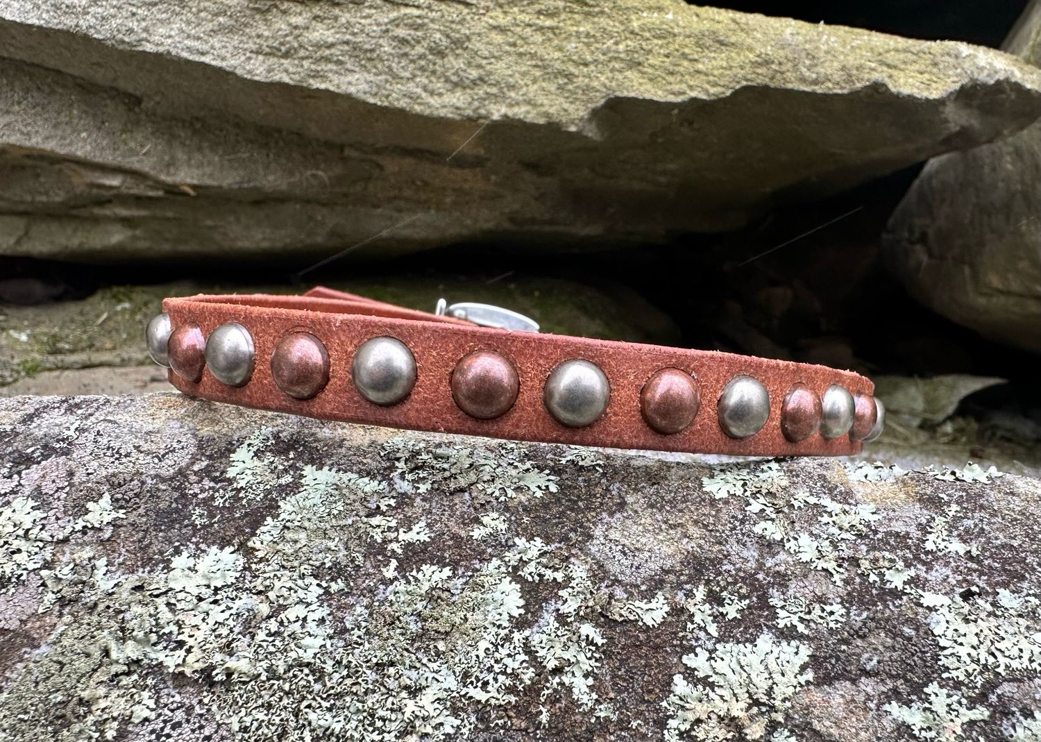 Small Roughout Dog Collar With Spots
