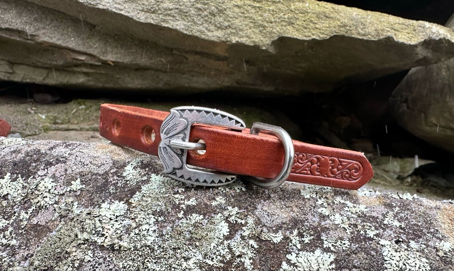 Small Stamped Dog Collar