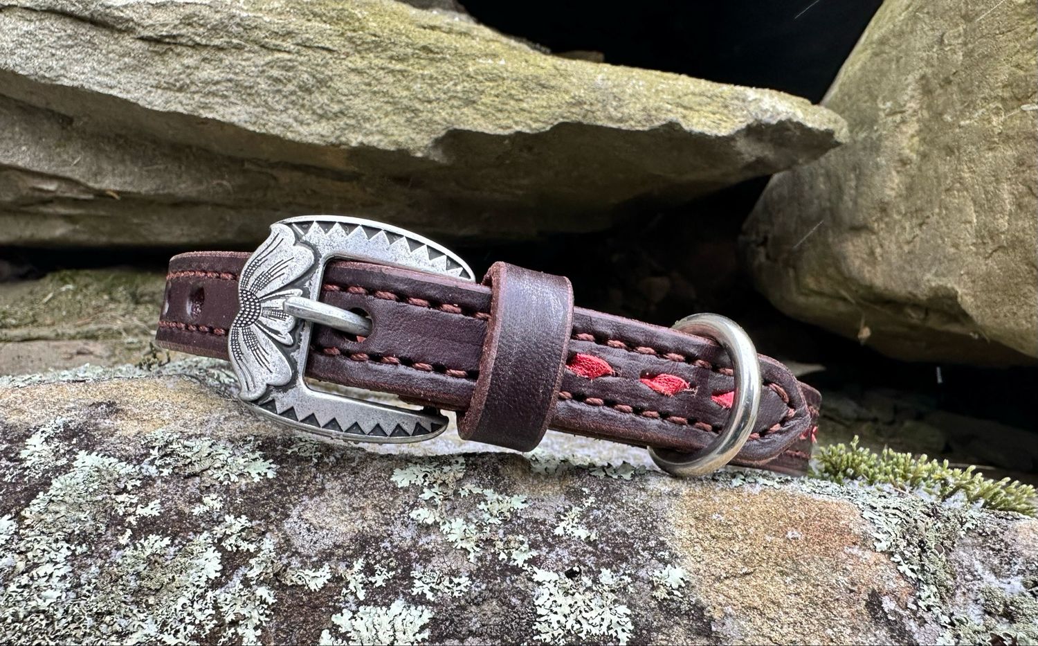 Medium Red Buckstitch Dog Collar