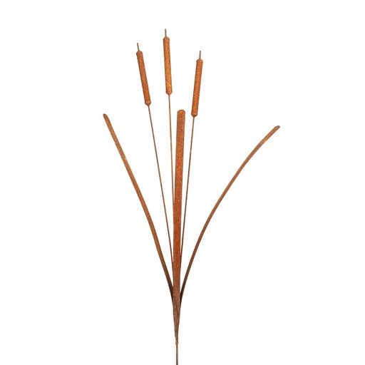 Stake Bulrush