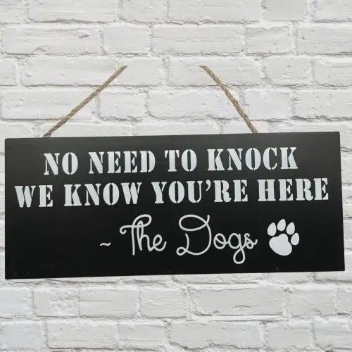 PI Theres No Need Knock 24x10cm