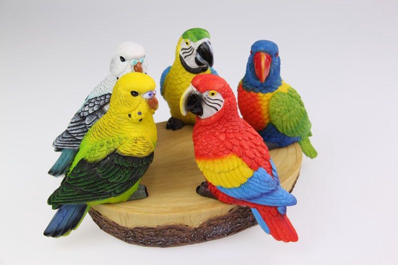 *17cm Budgie/Parrot/Lorikeet on Display