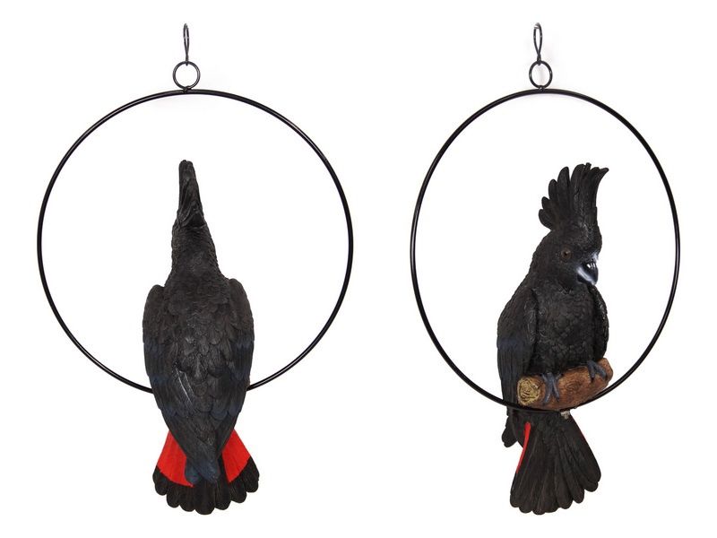 43cm Black Cockatoo Bird in 30cm Ring