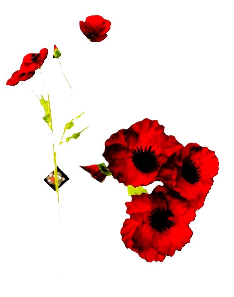 RED POPPY WITH BLACK HEART 4 HEAD  60CM 10/500