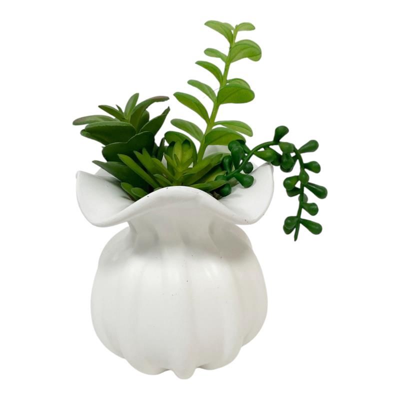 11cm Vase With Succulent