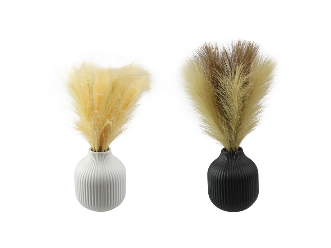 36cm White Reed in Decor Pot