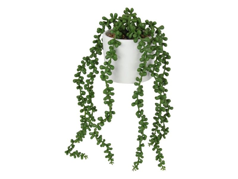 38cm String of Pearls Plant White Pot