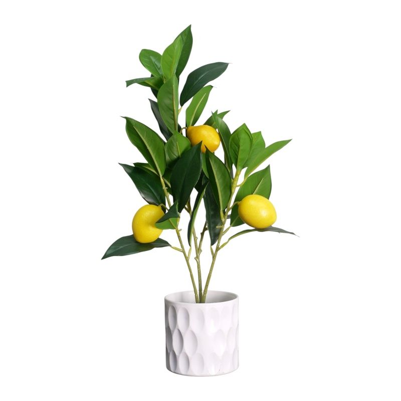 43cm Lemon Tree in White Pot