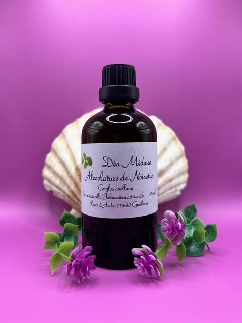 Alcoolature de Noisetier