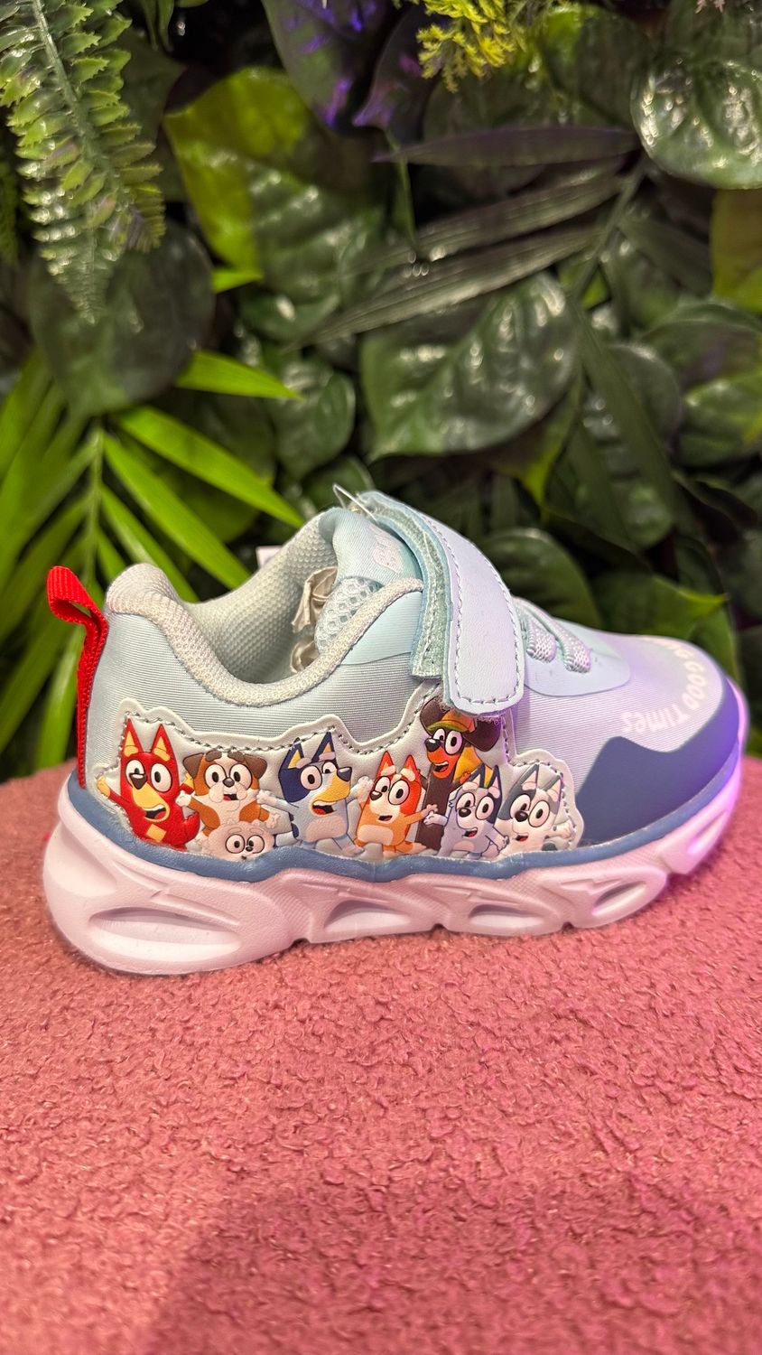 BASKETS BLUEY LUMINEUSES