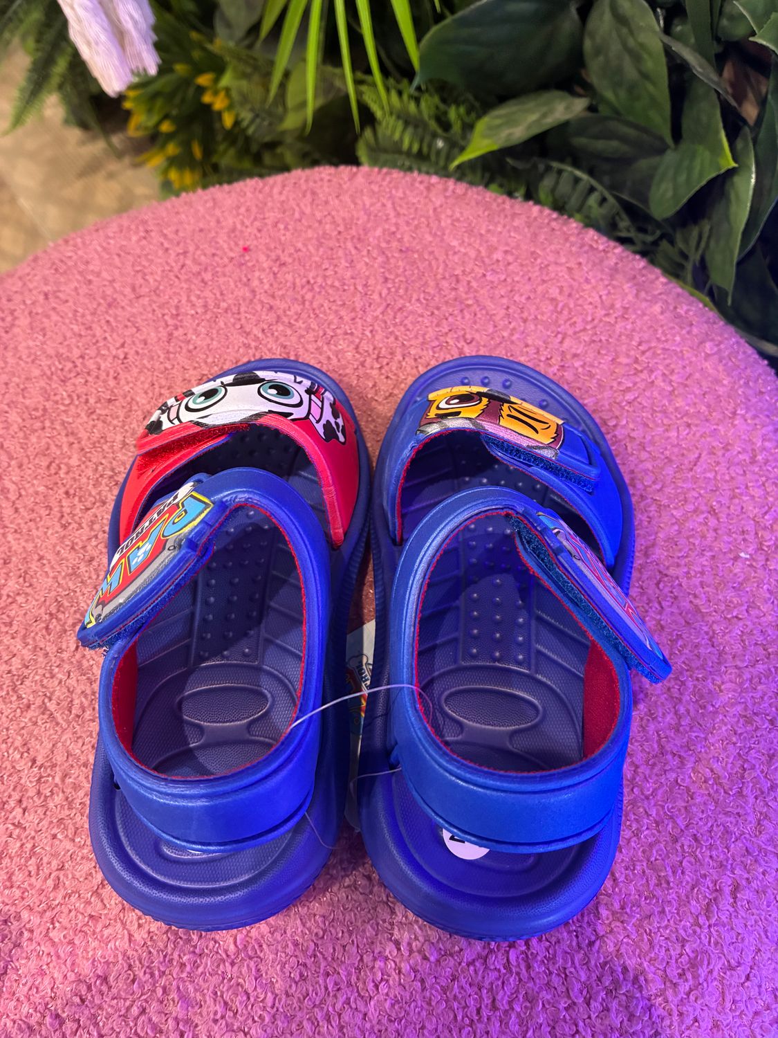 SANDALES PAW PATROL SCRATCH