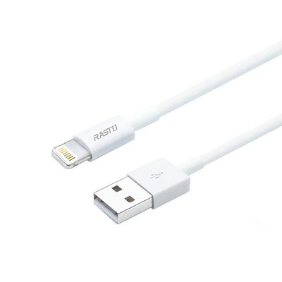 RASTO IPHONE充電傳輸線 2M RX33