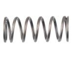 Tippmann 98/ A5 Valve Spring