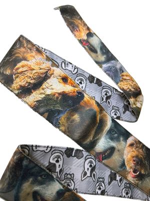 Toxic Performance Headband - Dogs