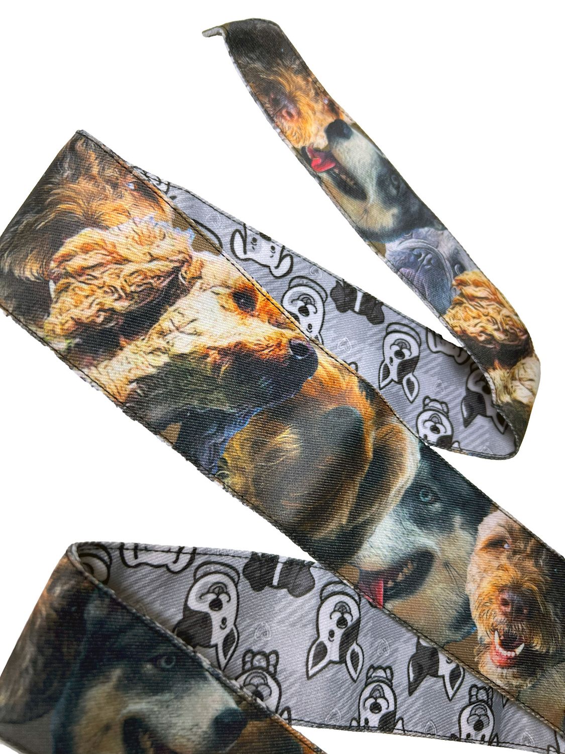 Toxic Performance Paintball Headband - Dogs