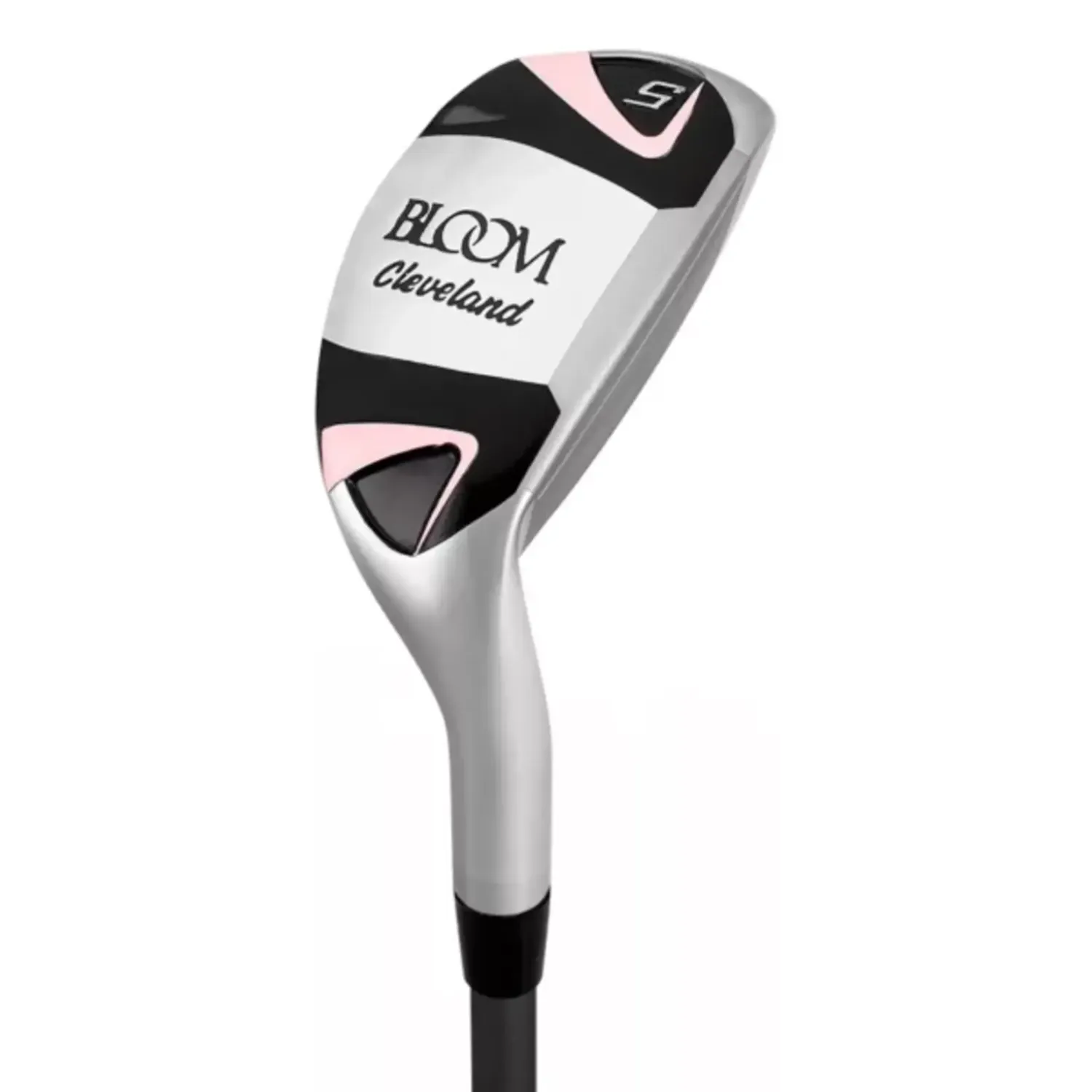 Cleveland Bloom PKG Set (23)