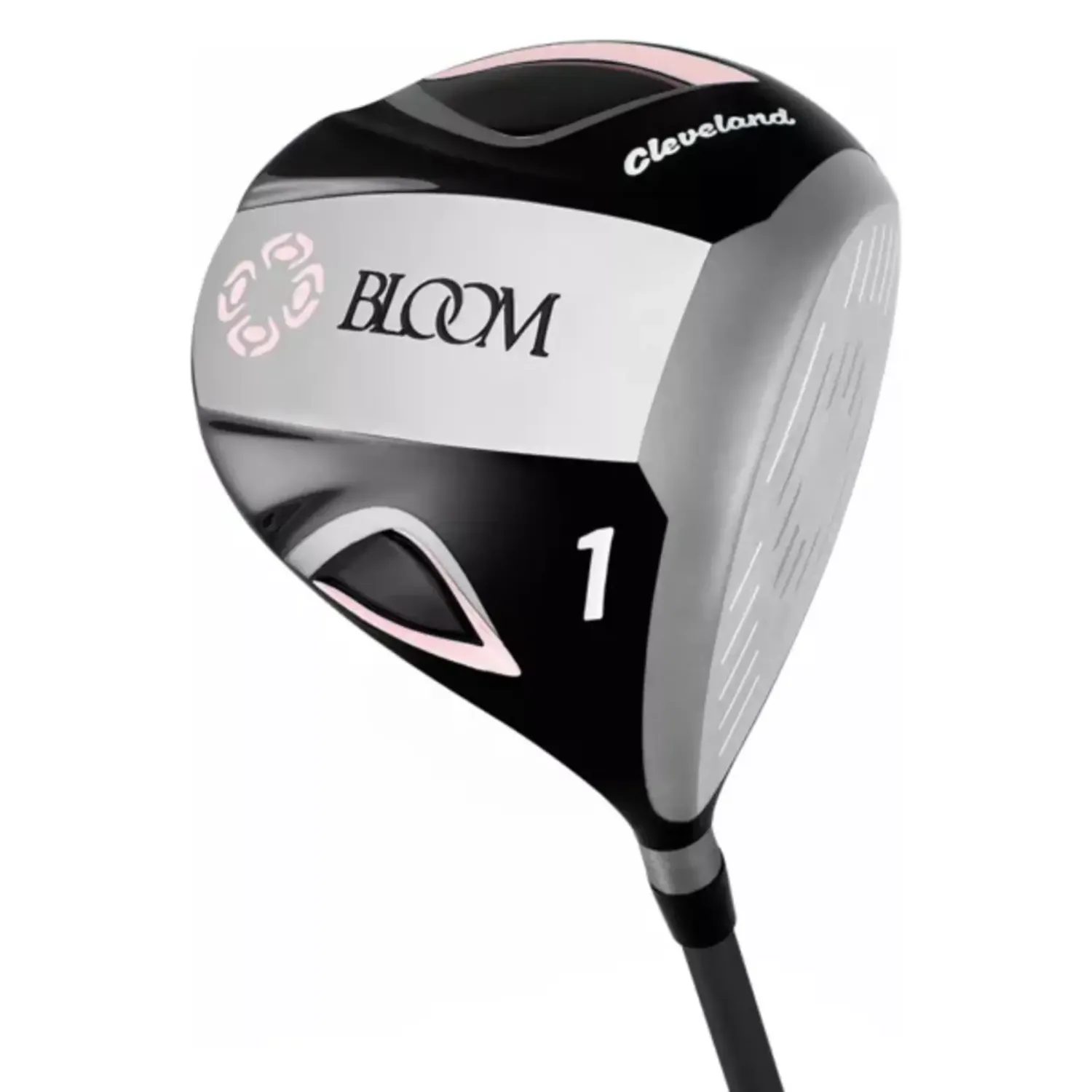 Cleveland Bloom PKG Set (23)