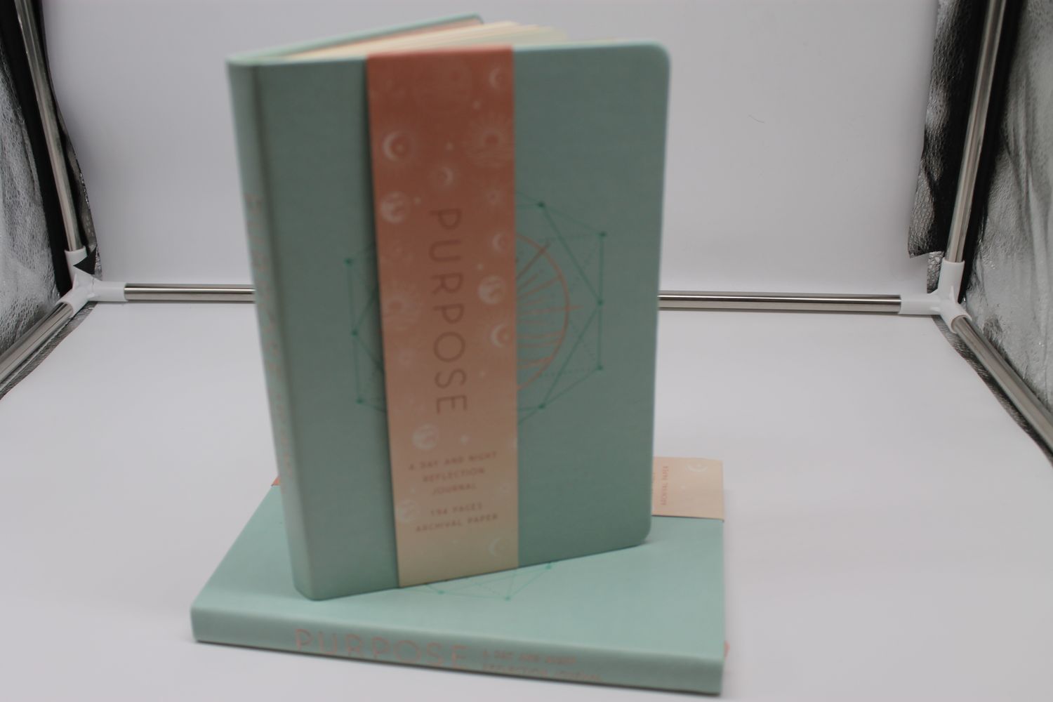 Purpose Journal Self Reflection