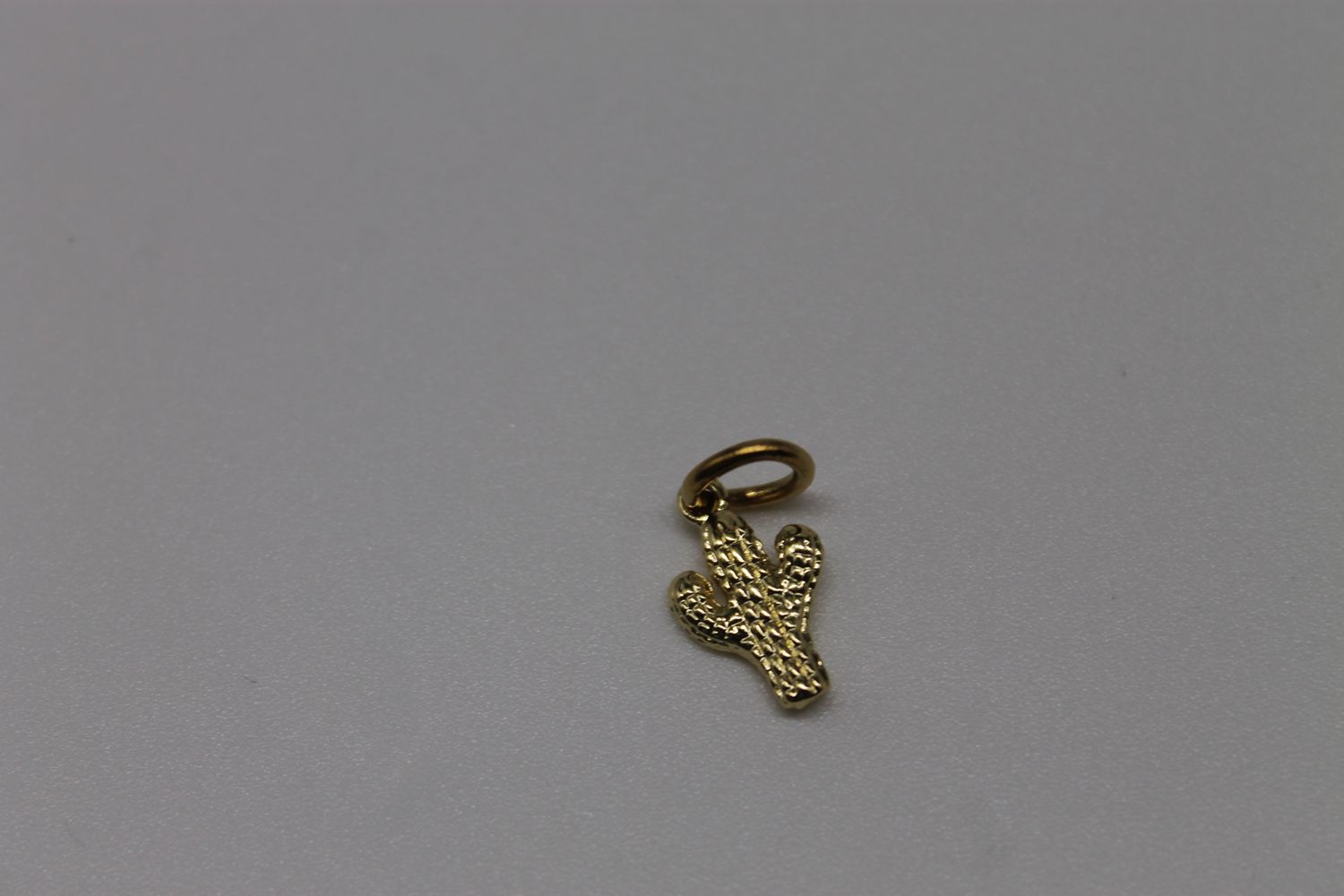 Gold Cactus Cutie Charm