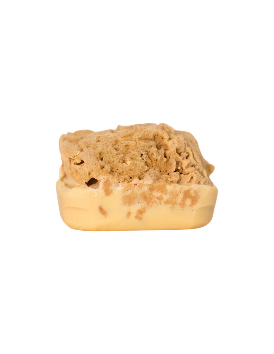 Goat's Milk Soap with Sea Sponge, name: Eucalyptus