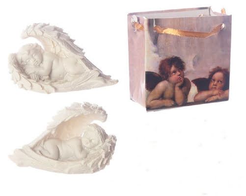 Cherub In Wing Bag