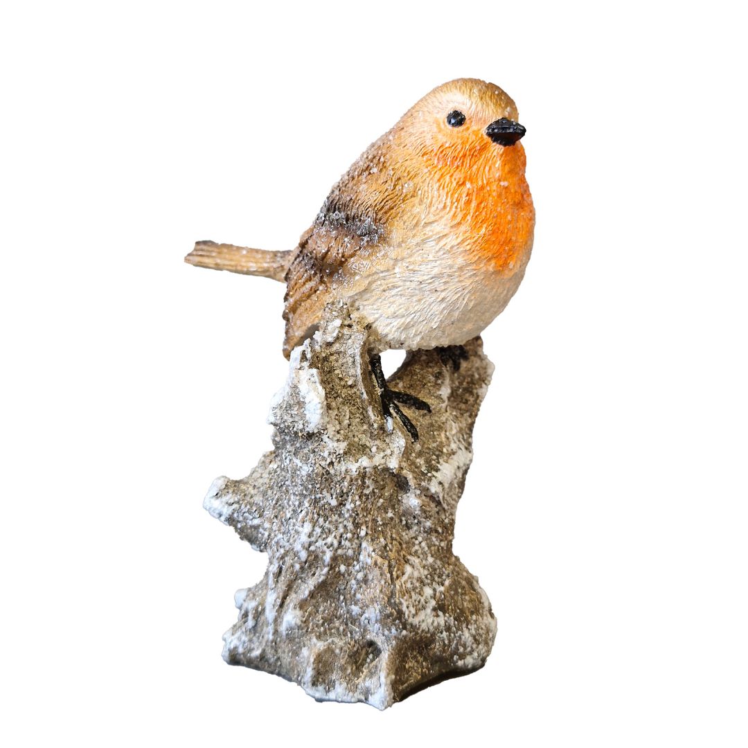 Robin On Log Robin On Log