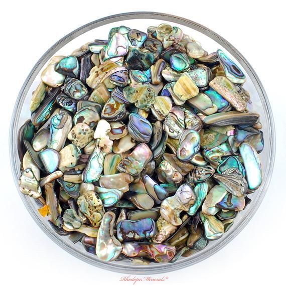 Abalone Shell Abalone Shell