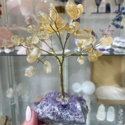 Citrine On Amethyst Gem Tree