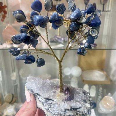 Sodalite Gem Tree Sodalite Gem Tree
