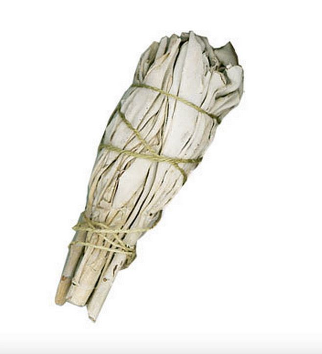 Californian White Sage Small Californian White Sage Small