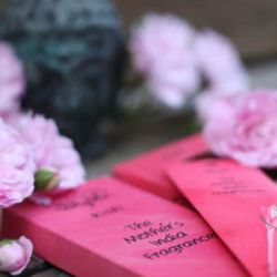 Mother's India Rishi Mother's India Rishi