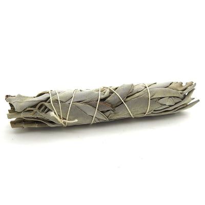 Sage Smudge Medium Sage Smudge Medium