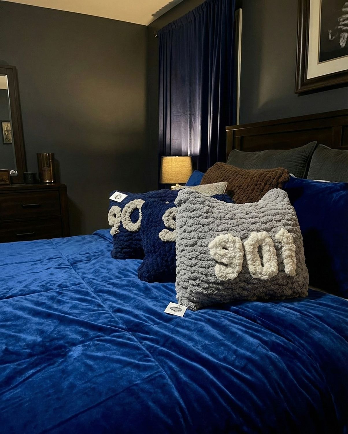 901-Hometown Pride Pillow