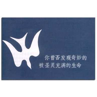 Spirit-Filled Life - Chinese (Simplified)