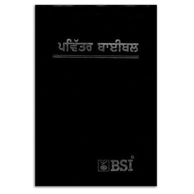 Punjabi Bible