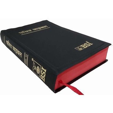 Punjabi Holy Bible (Punjabi-OV)